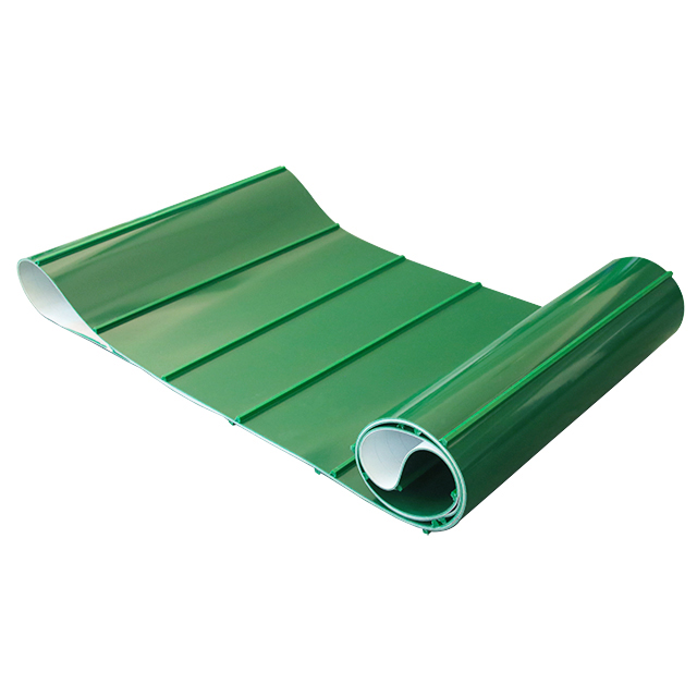 Food Snacks That Are Green - Penjualan langsung pabrik sabuk konveyor PVC
