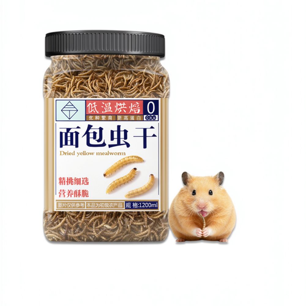 Food Snacks With Protein - Makanan Serangga Kering Alami Kaya Protein