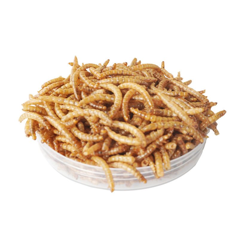 Camilan Protein Tinggi Makanan - Food Snacks With Protein ulasan dan harga