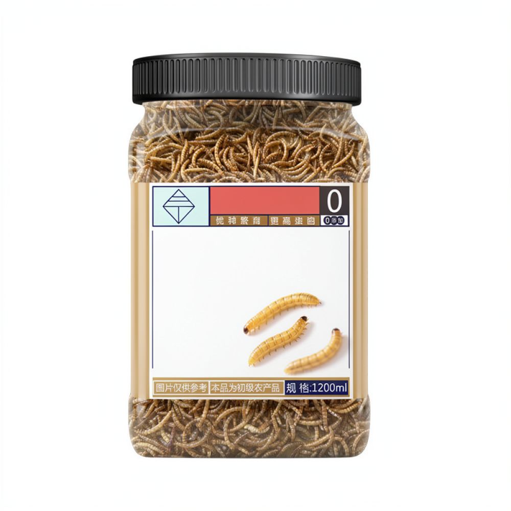 Makanan Serangga Kering Alami  - Food Snacks With Protein ulasan dan harga