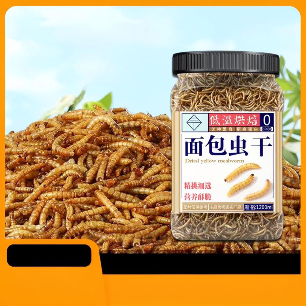 Makanan Serangga Kering Alami  - Food Snacks With Protein ulasan dan harga